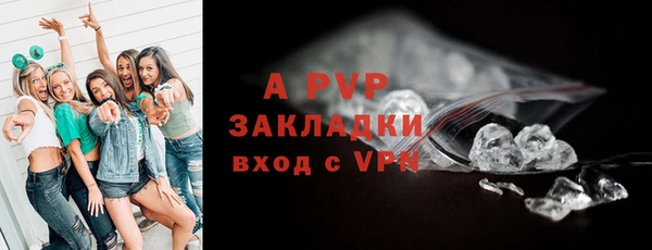 мяу мяу мука Инта