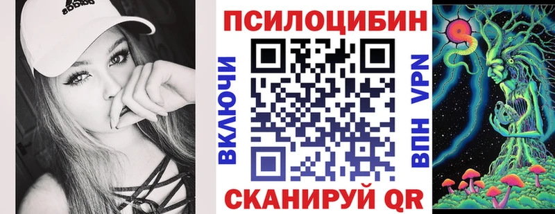 Купить  Юрьевец  Псилоцибиновые грибы GOLDEN TEACHER 