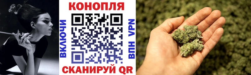 Купить  Юрьевец  МАРИХУАНА ГИДРОПОН 